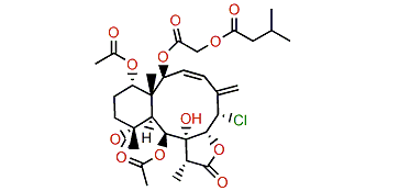 Frajunolide G